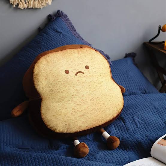 Toast Plush Pillow