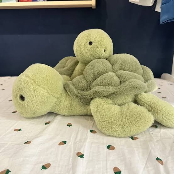 Turtle Plushie
